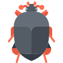 Beetle