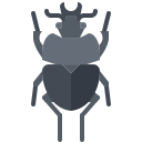 Beetle