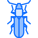käfer