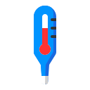 Thermometer