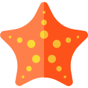 estrella de mar