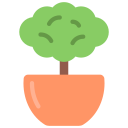 Plant tree