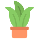 planta cobra