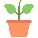 kweek plant