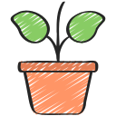 식물 재배