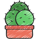 Cacti