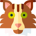 iberische lynx