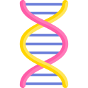 Dna