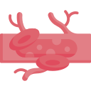 vaisseau sanguin