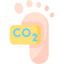 Carbon footprint