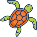 tortuga