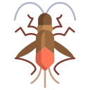 boxelder-bug