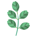잎