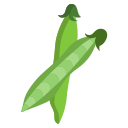 zielony groszek
