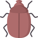 Rain beetle