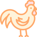 pollo