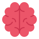 menselijke brein