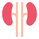 Kidneys