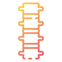 coluna vertebral