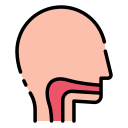 喉