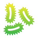 bacterias