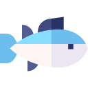 tuńczyk