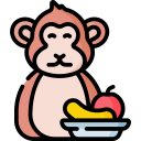 festival de buffet de macacos