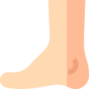 Foot