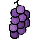 winogrona