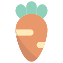 Carrot