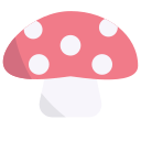 champignon