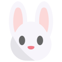 konijn