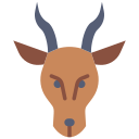 springbok