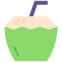 kokosgetränk