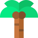 Palm tree