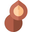 noix de macadamia