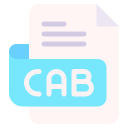 Cab