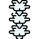 columna vertebral