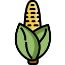 Corn