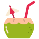 Coconut drink