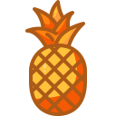 l'ananas