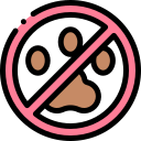 No animals