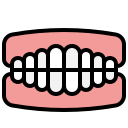 Denture