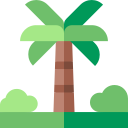 Palm tree