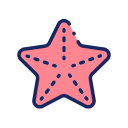 estrella de mar