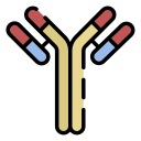 anticorps