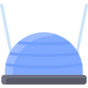 bosu ball