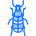 甲虫