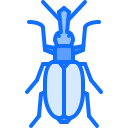 Beetle