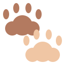 Paw print